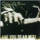 Children Of Bodom - Are You Dead Yet?